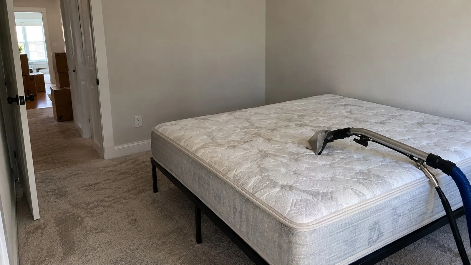Add Mattress Cleaning to a Move-In, Move-Out, or Deep Clean